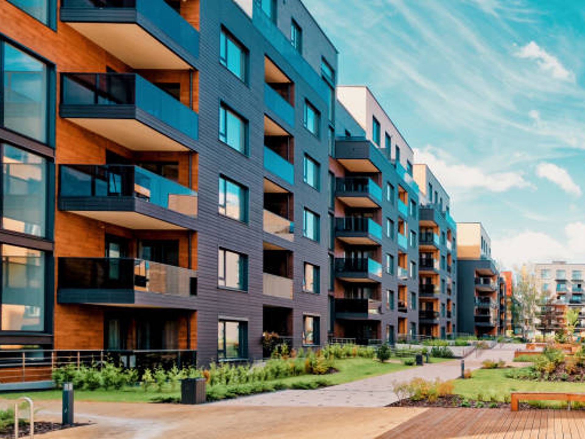 Orchid Legacy - Image 1