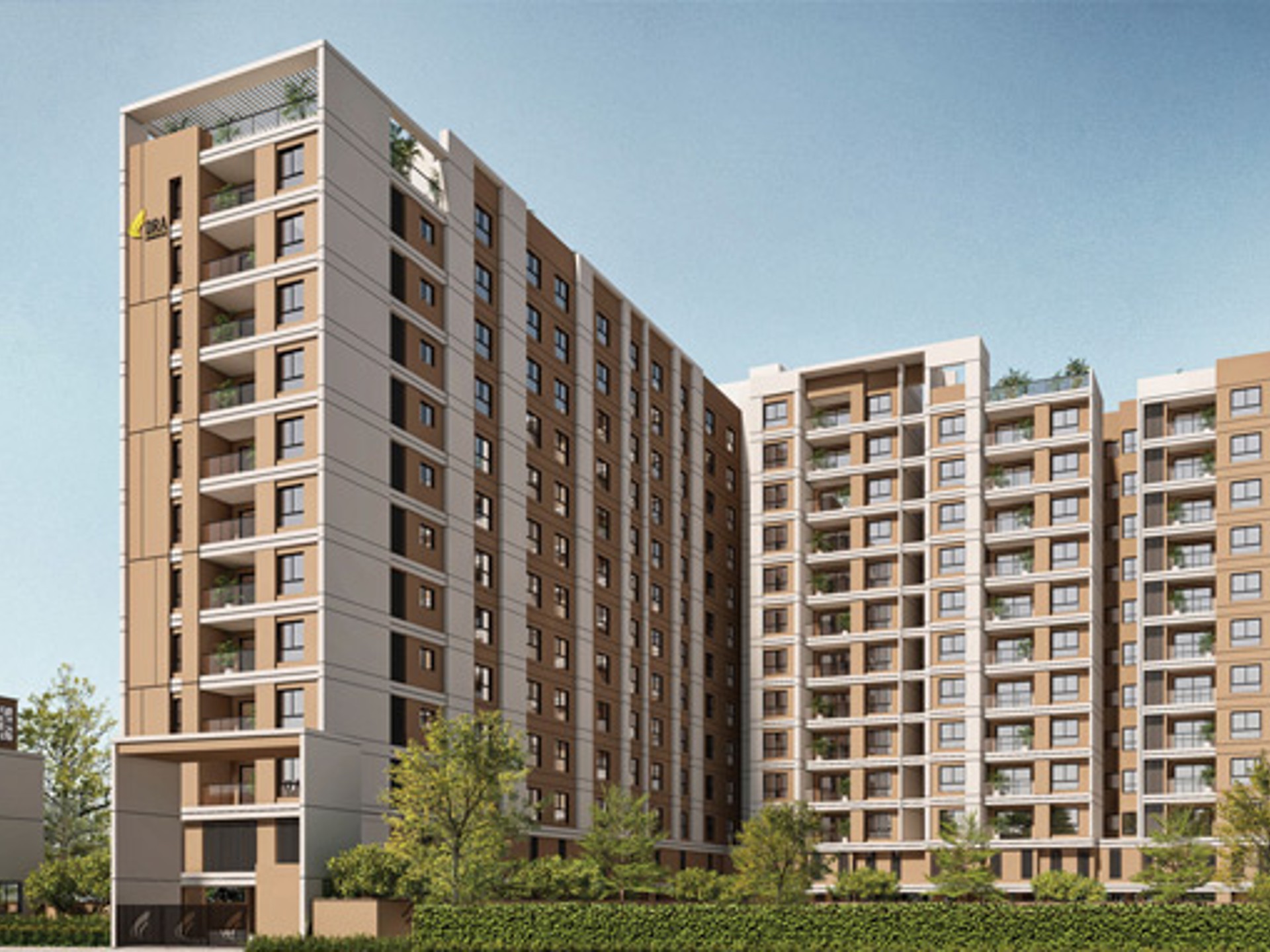 Orchid Legacy - Image 2